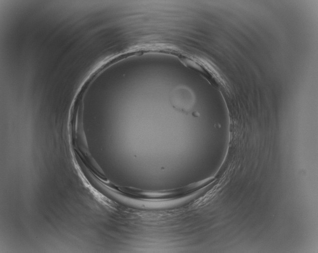 X0000076381046200610061119