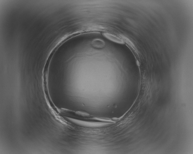 X0000076381047200610061119