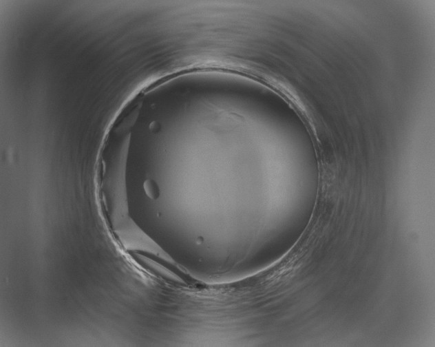 X0000076381048200610061119