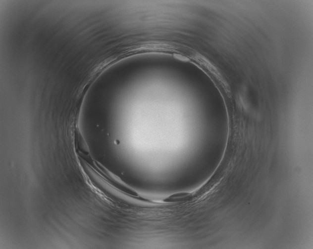 X0000076381049200610061119