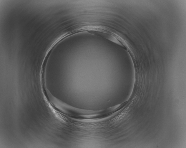 X0000076381050200610061119