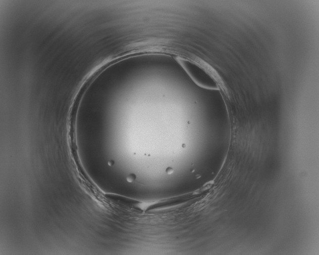 X0000076381051200610061119