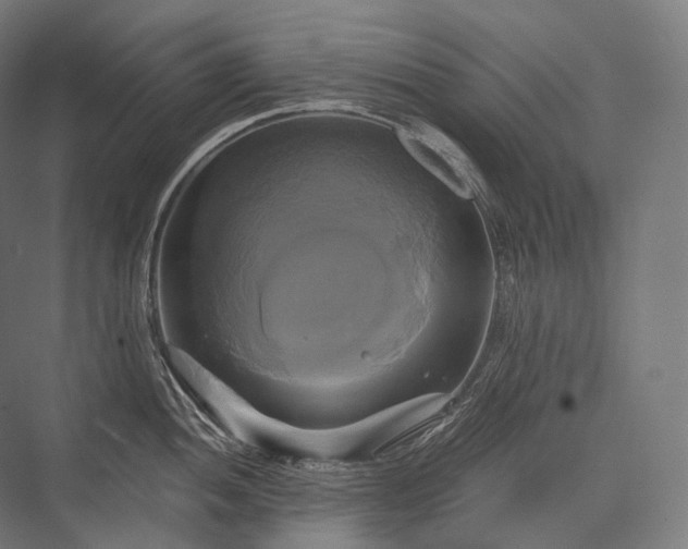 X0000076381052200610061119