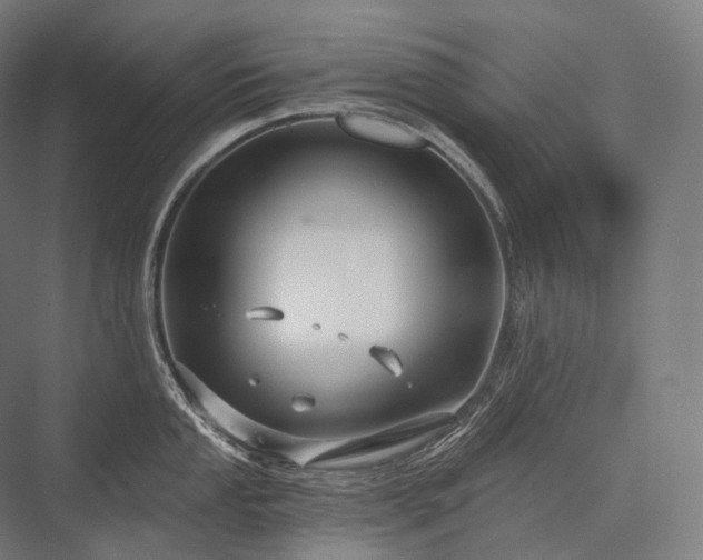 X0000076381053200610061119