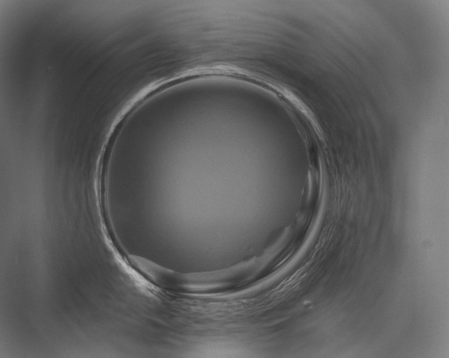 X0000076381054200610061119