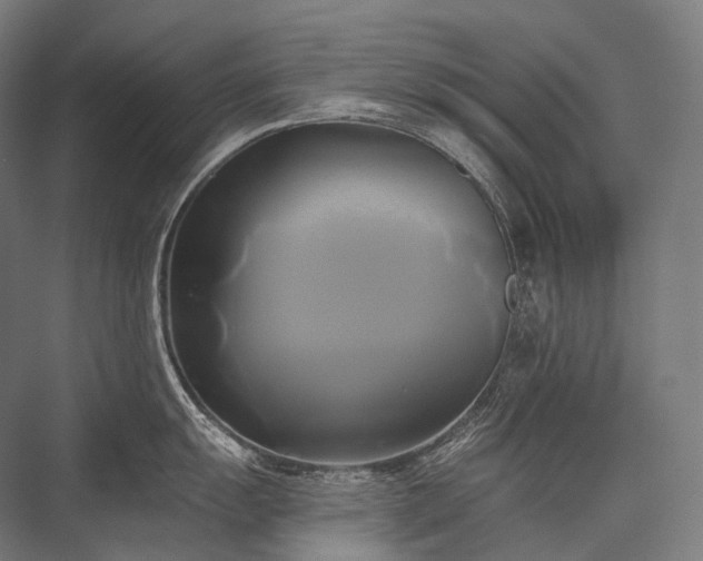 X0000076381055200610061119