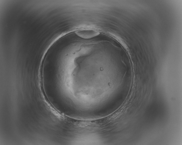 X0000076381056200610061119