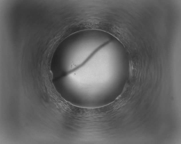 X0000076381057200610061119