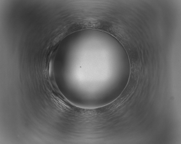 X0000076381058200610061119