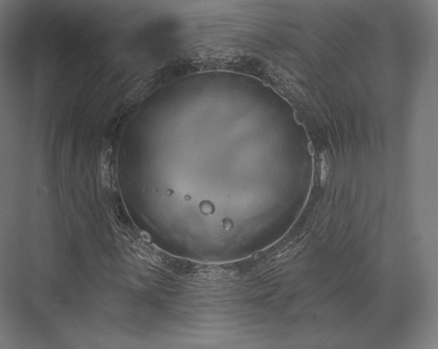 X0000076381059200610061119