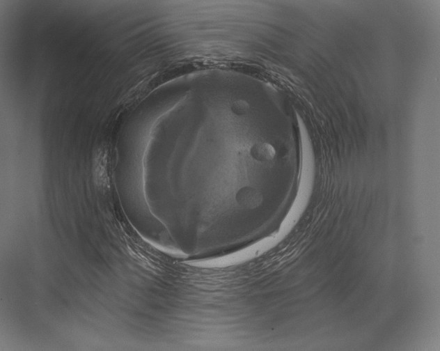 X0000076381060200610061119