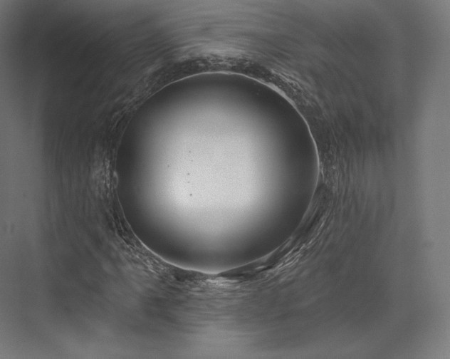 X0000076381061200610061118