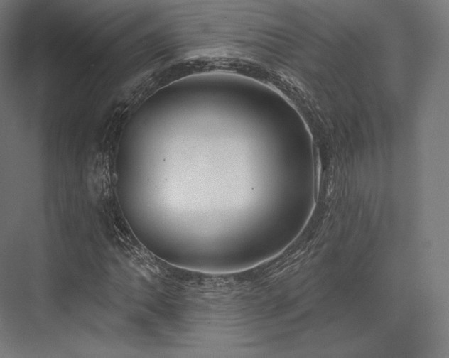 X0000076381062200610061118