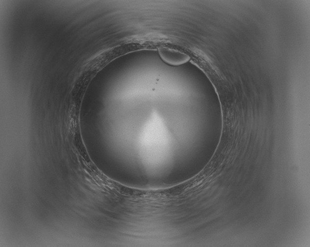 X0000076381063200610061118