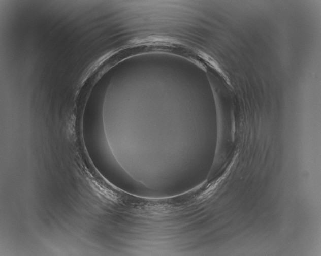 X0000076381066200610061118