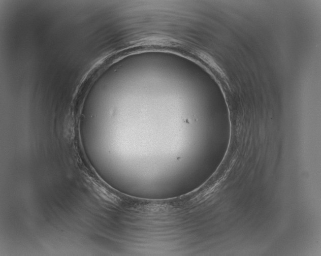 X0000076381067200610061118