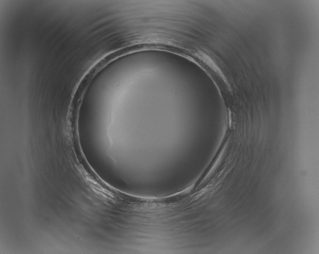 X0000076381068200610061118