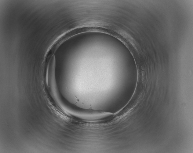 X0000076381069200610061118