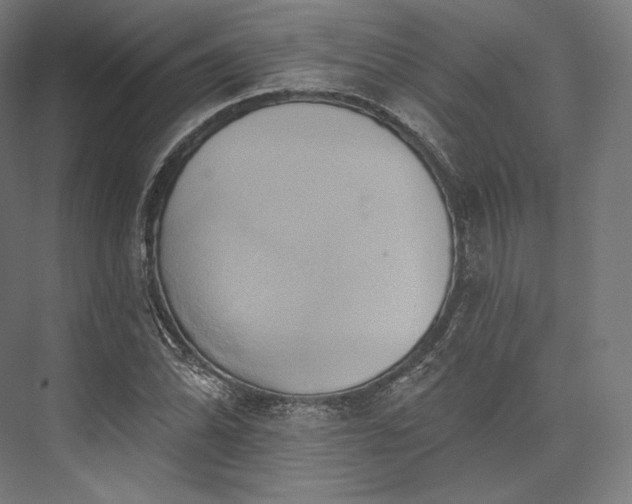 X0000076381070200610061118