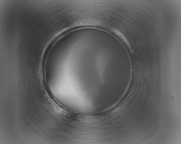 X0000076381072200610061118