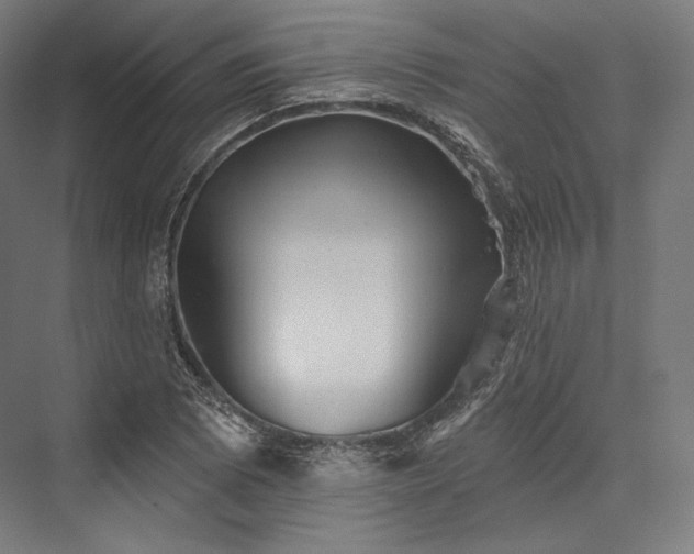 X0000076381073200610061118