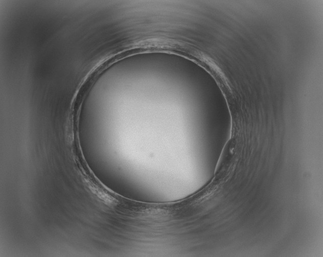 X0000076381075200610061118