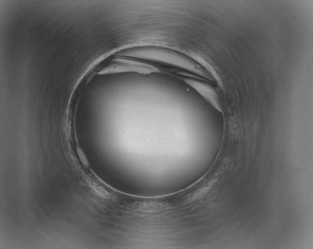 X0000076381077200610061118