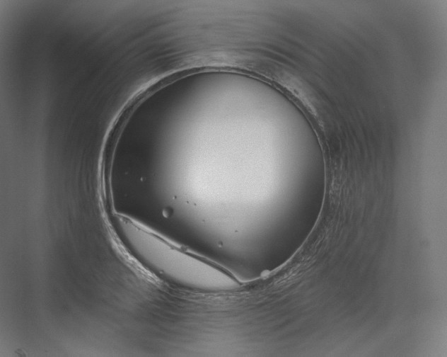 X0000076381080200610061118