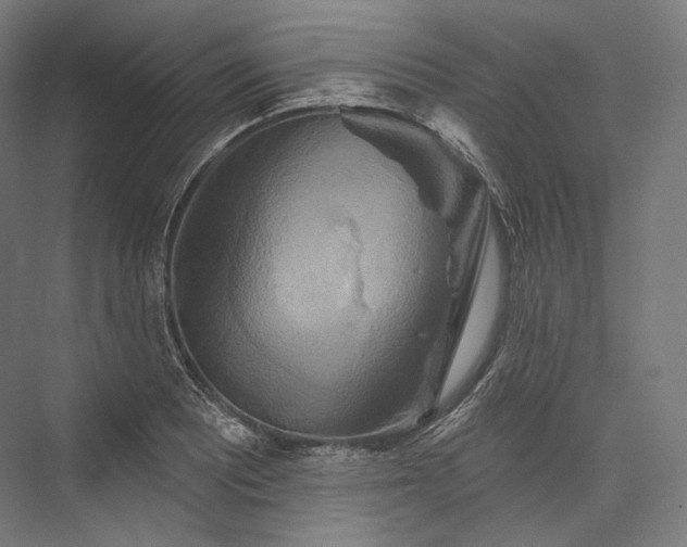 X0000076381081200610061118