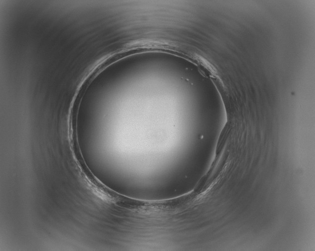 X0000076381082200610061118