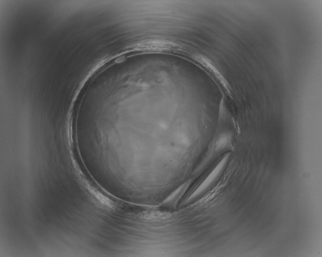 X0000076381083200610061118