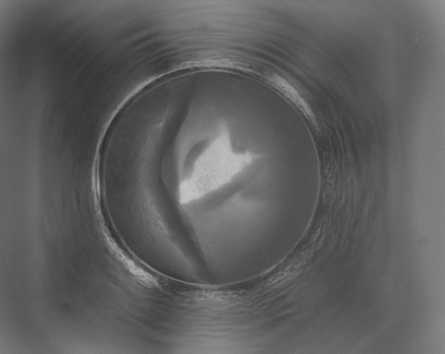 X0000076381084200610061118