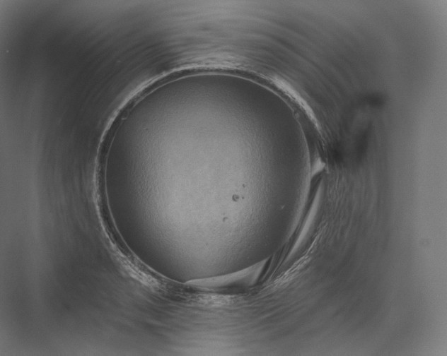 X0000076381085200610061118