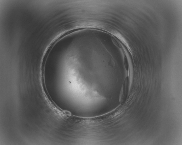 X0000076381088200610061118