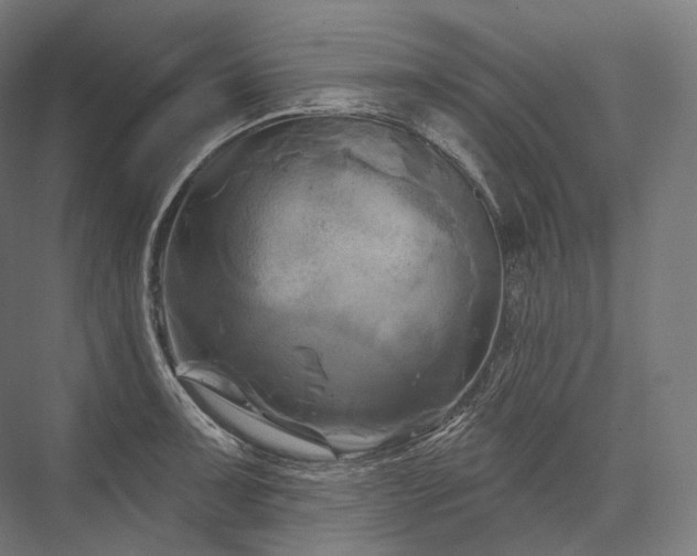 X0000076381091200610061118