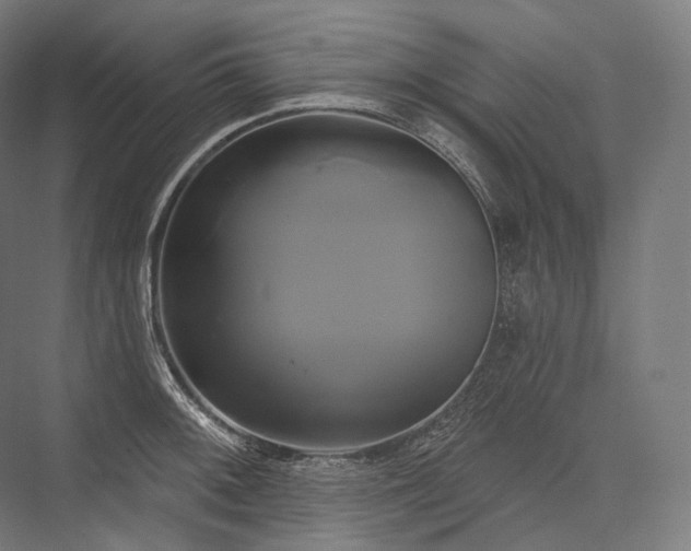 X0000076381092200610061118