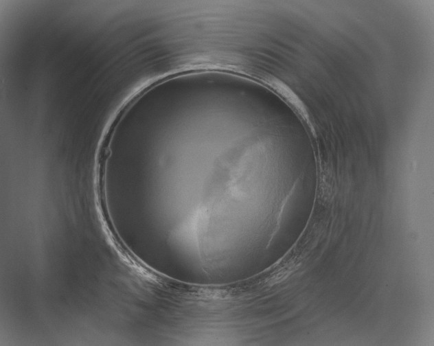 X0000076381096200610061118