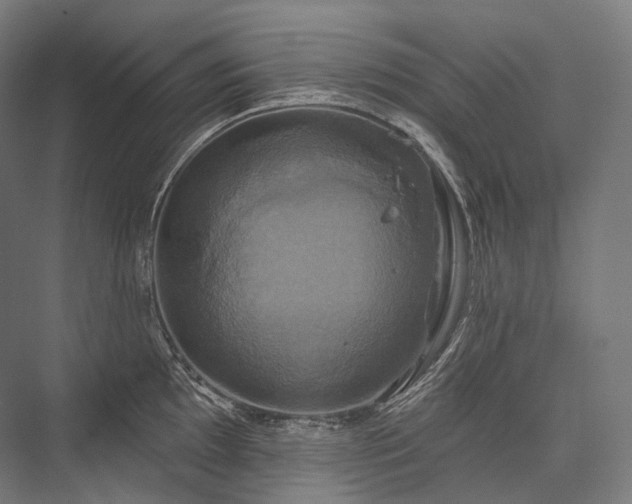 X0000076381097200610061118