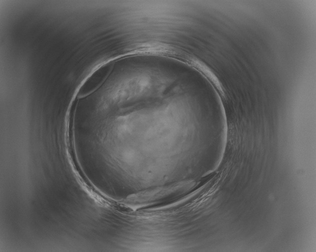 X0000076381099200610061118