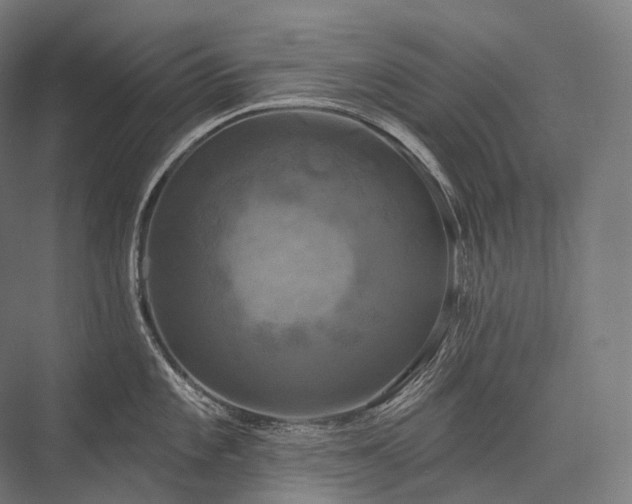 X0000076381101200610061118