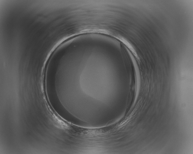 X0000076381102200610061118