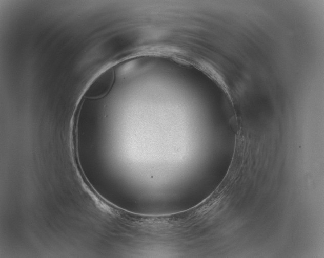 X0000076381103200610061118