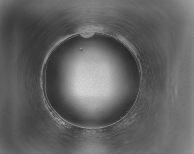 X0000076381104200610061118