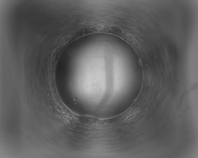 X0000076381105200610061117