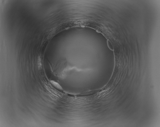 X0000076381106200610061117