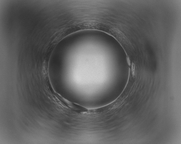 X0000076381107200610061117