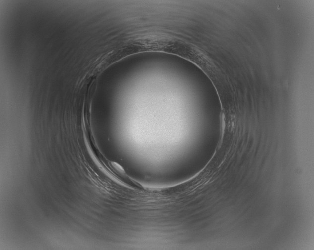 X0000076381108200610061117