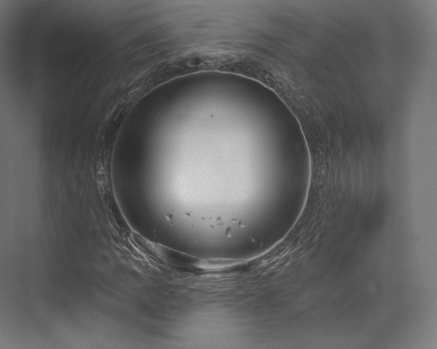 X0000076381109200610061117