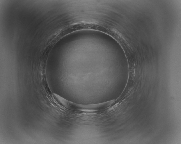 X0000076381110200610061117