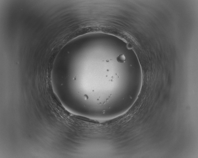 X0000076381111200610061117